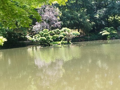 Parc oriental de Maulévrier (2025)